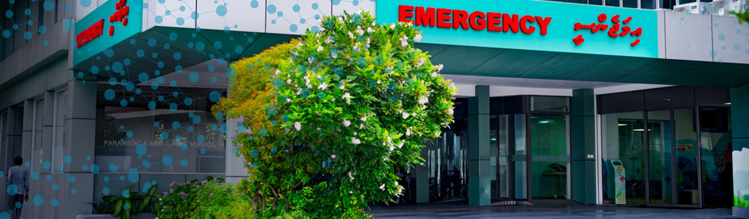 Trauma & Emergency